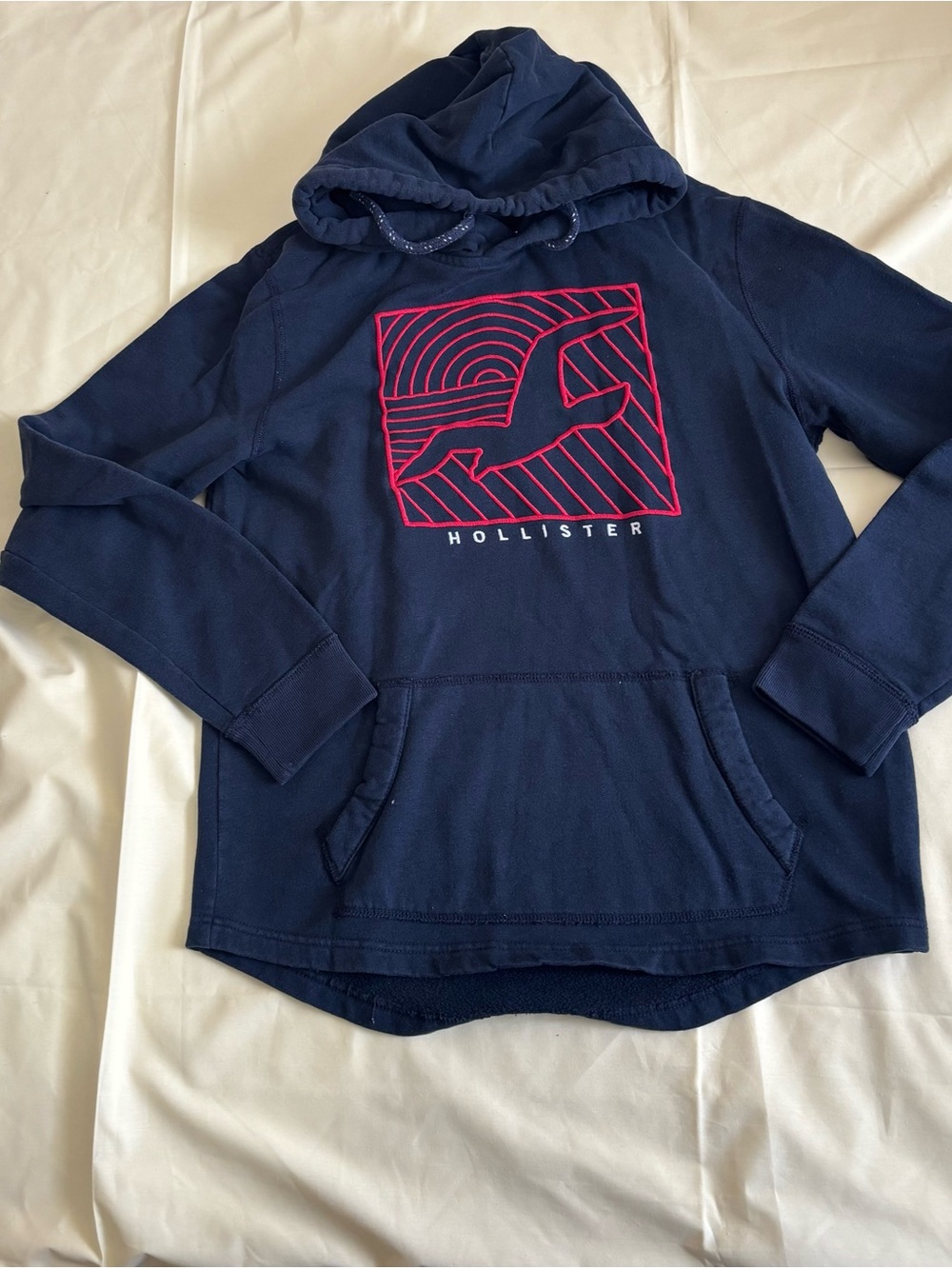Vintage Hollister Navy Pullover Hoodie with Red Logo